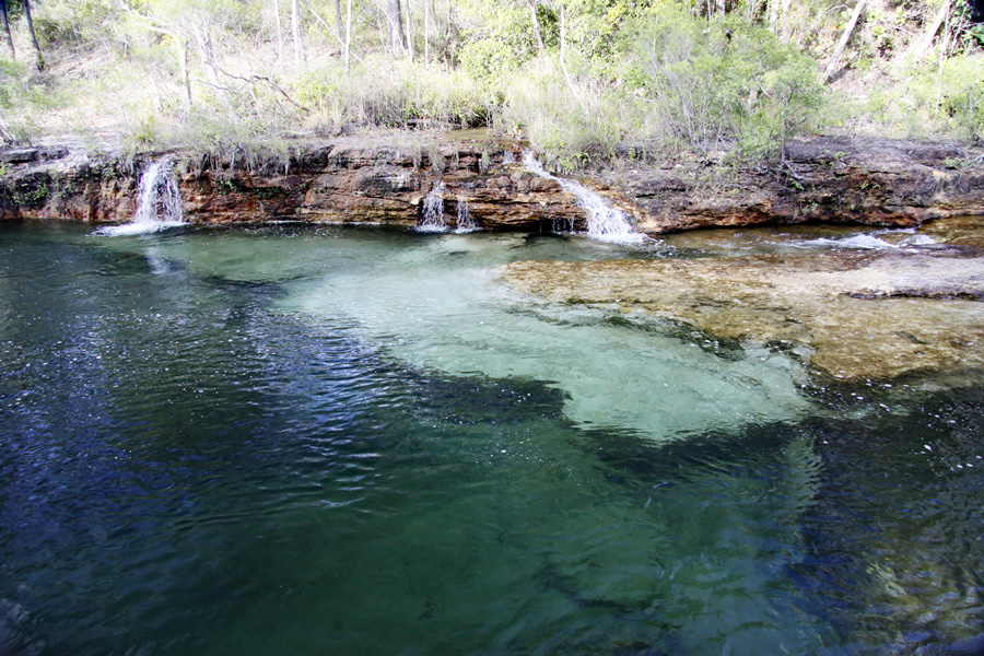 Fruit Bat Falls Cape York Tours